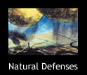 natural defenses