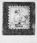 Evicted1: Dodo