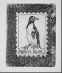 Evicted2: Great Auk