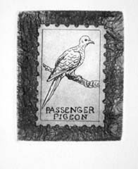 Evicted 4: Passenger Pigeon