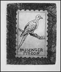 Evicted1: Passenger Pigeon